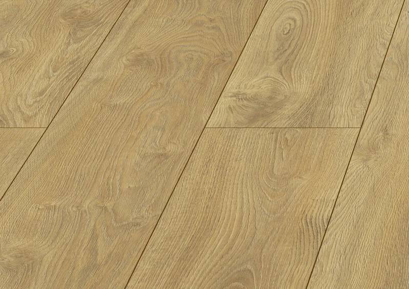 Mauritius Oak