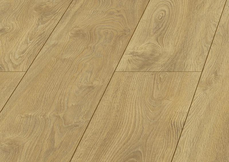 Mauritius Oak
