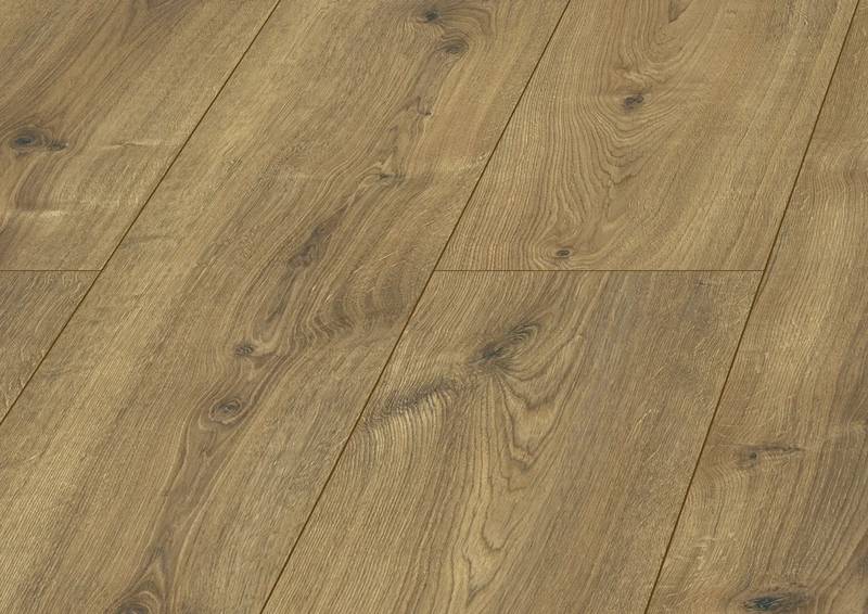 Cuba oak
