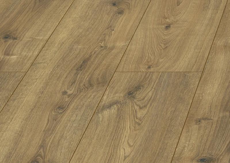 Cuba oak