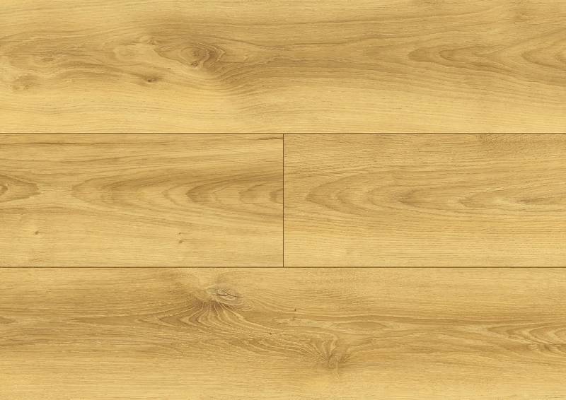 Coletta Oak