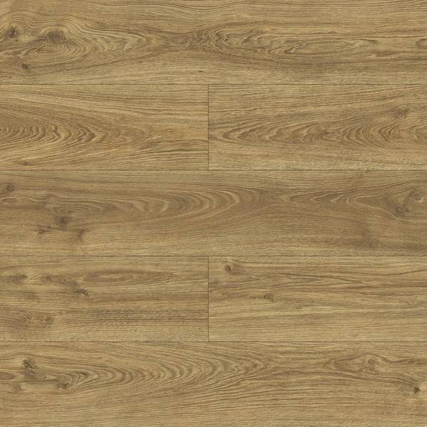 Urania Oak